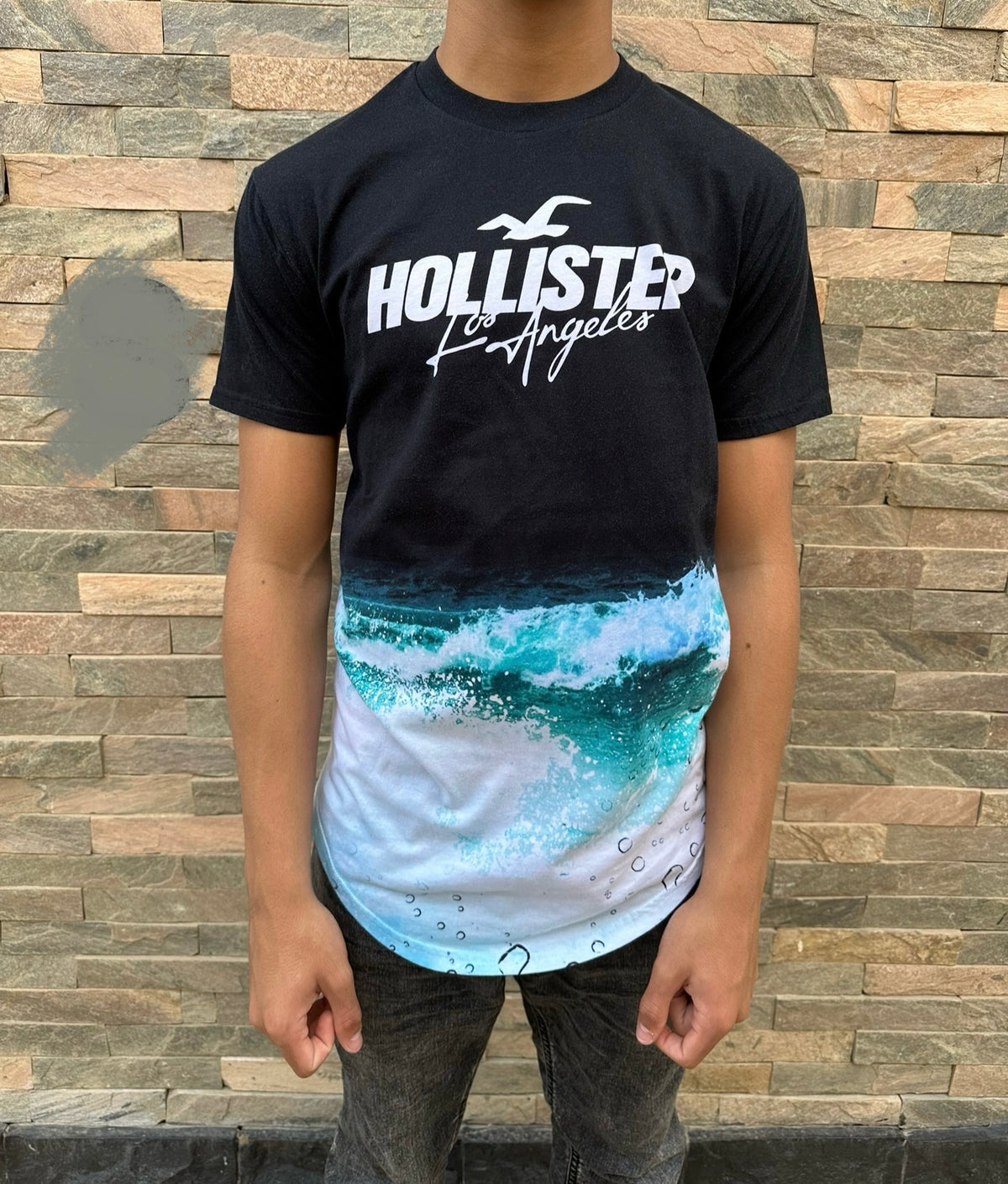 Hollister T-Shirt (Style 2)