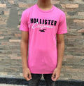 Hollister