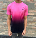 Hollister