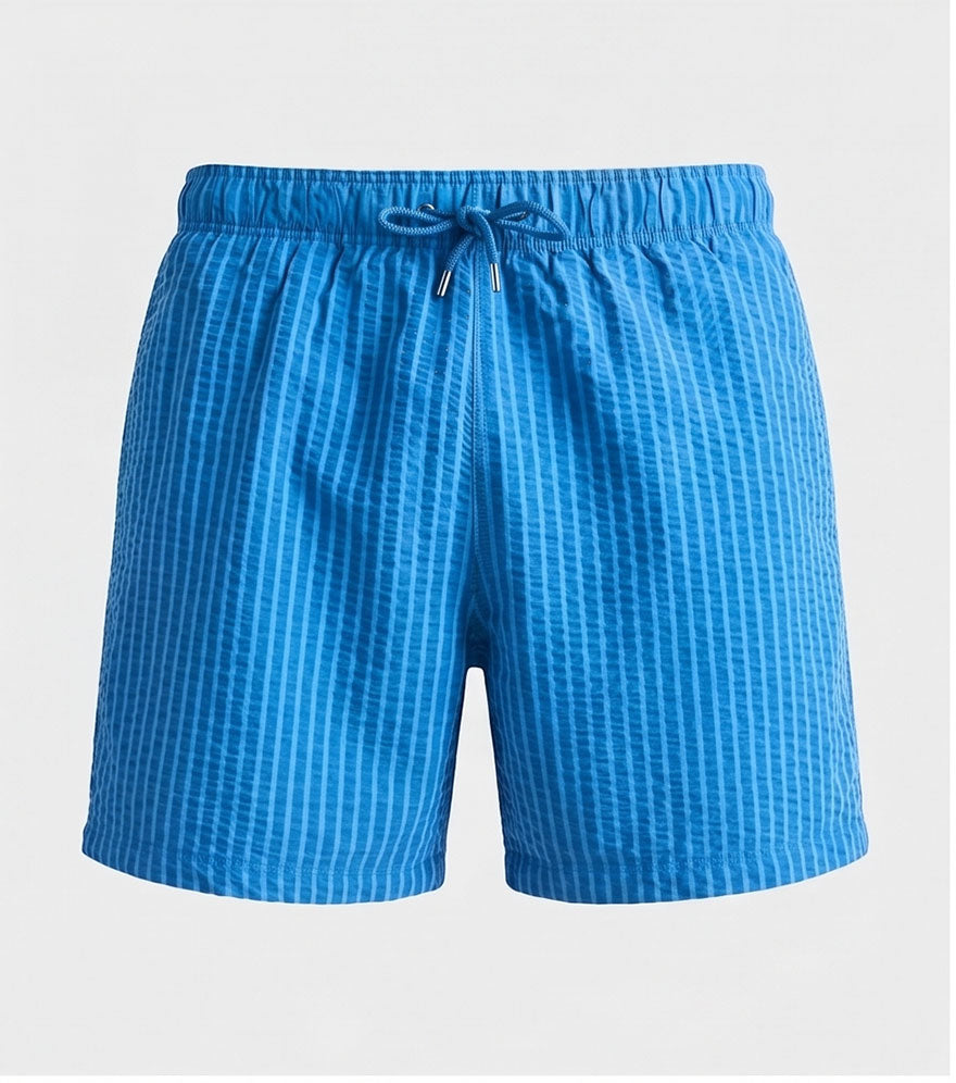 Blue Stripped Swim Shorts