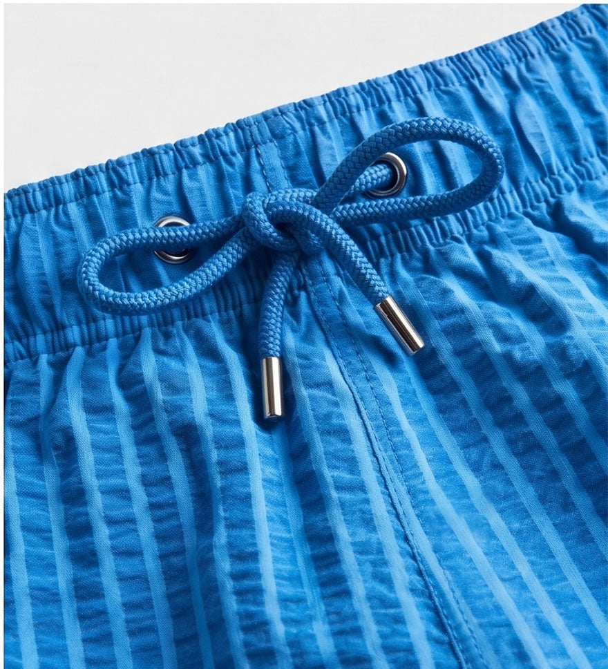 Blue Stripped Swim Shorts