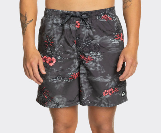 Quiksilver Men's Swim Shorts
