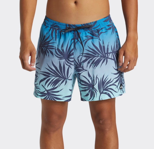 Quiksilver Men's Board Shorts