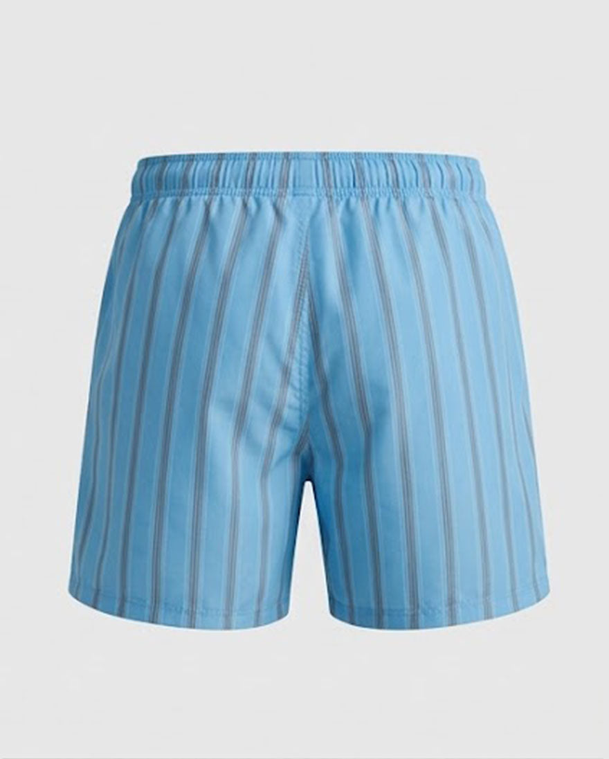 Blue Striped Swim Shorts