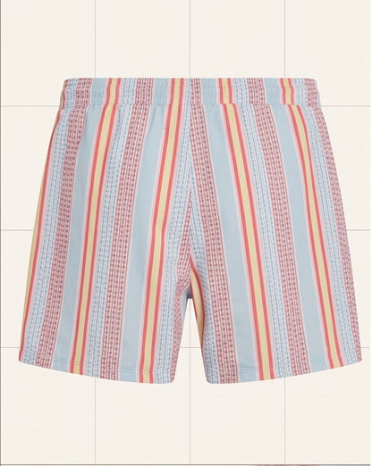 Pastel Striped Swim Shorts
