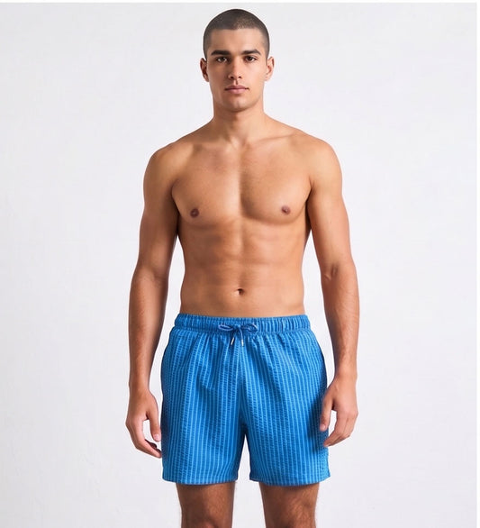 Blue Stripped Swim Shorts