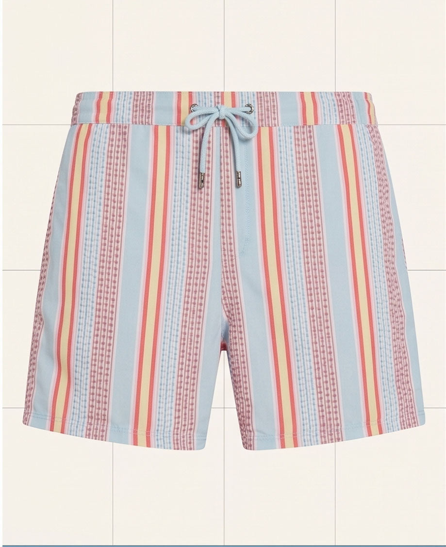 Pastel Striped Swim Shorts