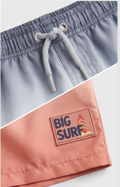 Gradient Swim Shorts
