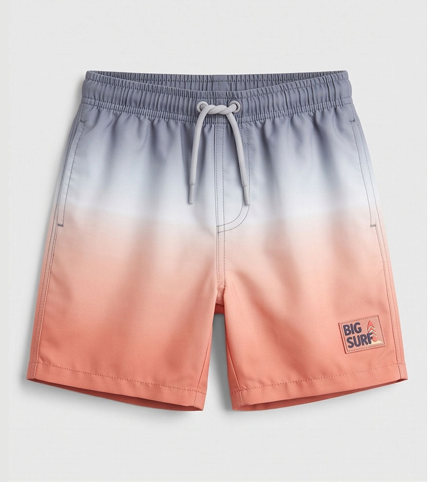 Gradient Swim Shorts