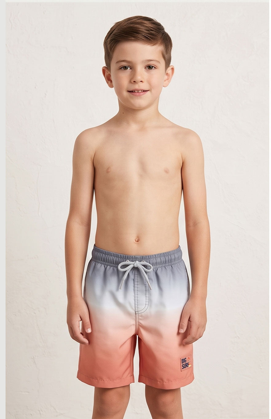 Gradient Swim Shorts